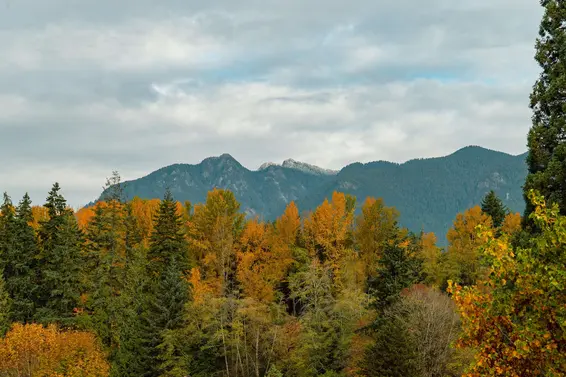 1319 2012 Fullerton Avenue, North Vancouver For Sale - image 26