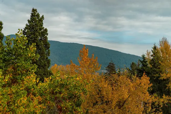 1319 2012 Fullerton Avenue, North Vancouver For Sale - image 30