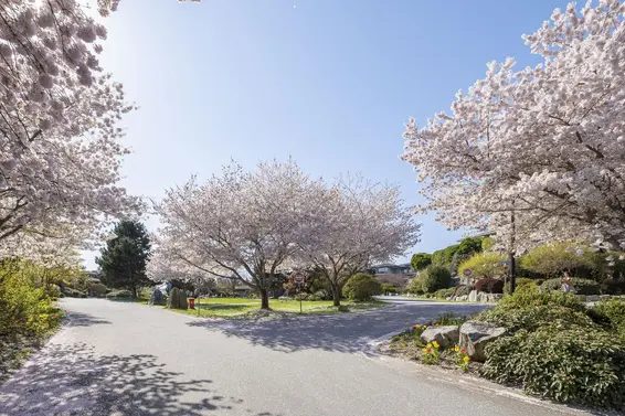 4987 Meadfeild Wynd, West Vancouver For Sale - image 39