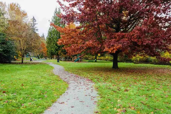 401 1633 Mackay Avenue, North Vancouver