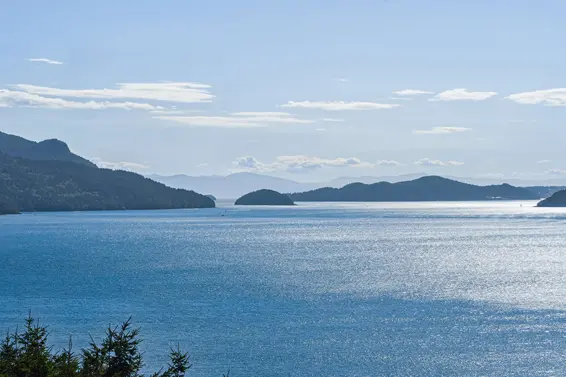50 Panorama Road, Lions Bay For Sale - image 38