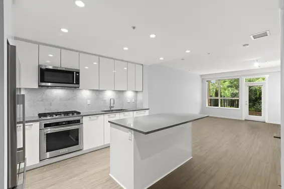 110 2663 Library Lane, North Vancouver For Sale - image 4