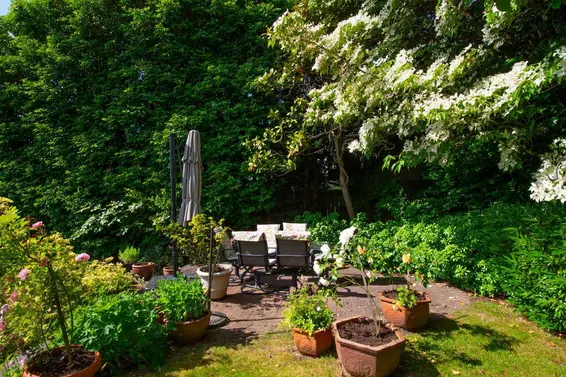530 East Queens Road, North Vancouver For Sale - image 33