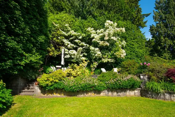 530 East Queens Road, North Vancouver For Sale - image 35