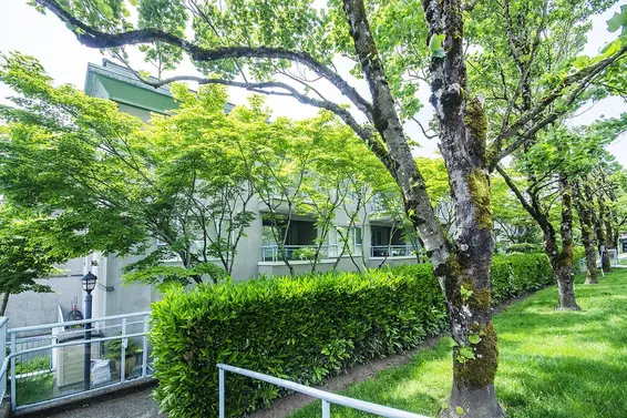 206 1085 West 17th Street, North Vancouver For Sale - image 5