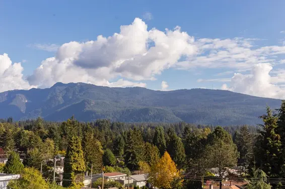 404 1295 Conifer Street, North Vancouver For Sale - image 28