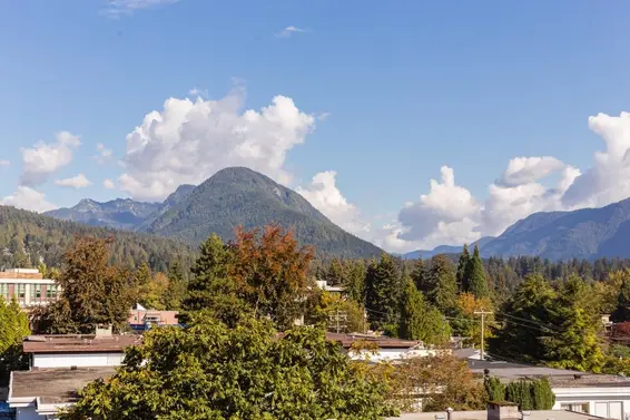 404 1295 Conifer Street, North Vancouver For Sale - image 29