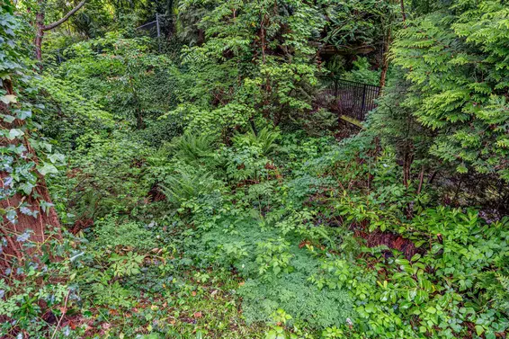 1675 Lawson Avenue, West Vancouver For Sale - image 37
