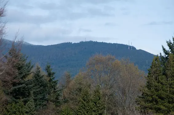 943 Shavington Street, North Vancouver For Sale - image 34