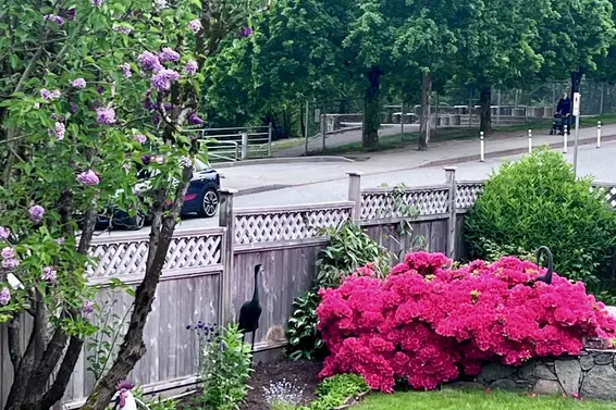 462 West 26th Street, North Vancouver For Sale - image 38