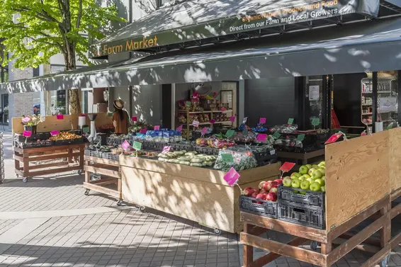 203 145 St. Georges Avenue, North Vancouver For Sale - image 31