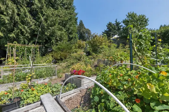 1084 Lillooet Road, North Vancouver For Sale - image 12