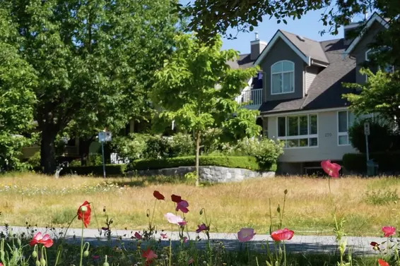 1 270 East Keith Road, North Vancouver For Sale - image 38