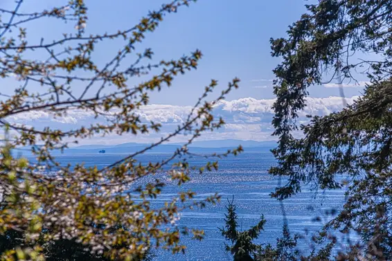 5260 Kew Road, West Vancouver For Sale - image 40