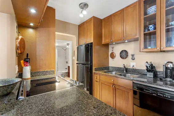 201 308 West 2nd Street, North Vancouver For Sale - image 9