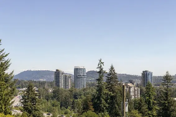 1225 Adderley Street, North Vancouver For Sale - image 31