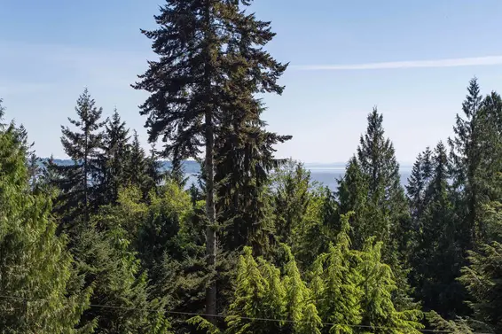 3897 Bayridge Avenue, West Vancouver For Sale - image 38