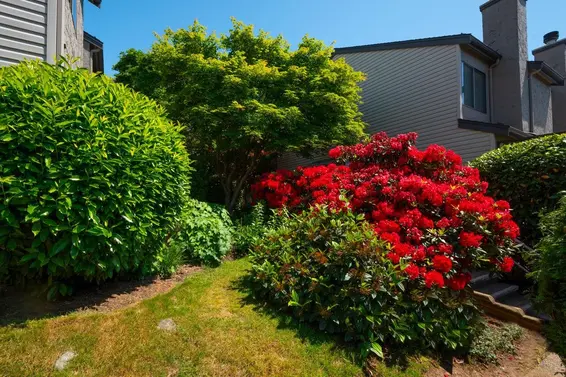 10 230 West 14 Street, North Vancouver For Sale - image 20