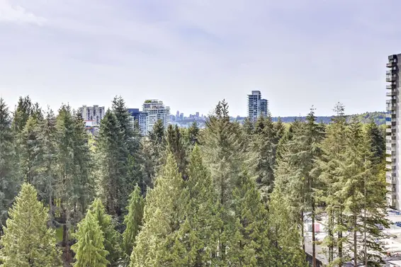 1110 2012 Fullerton Avenue, North Vancouver For Sale - image 4