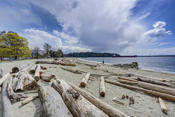 501 1327 Bellevue Avenue, West Vancouver For Sale - image 17