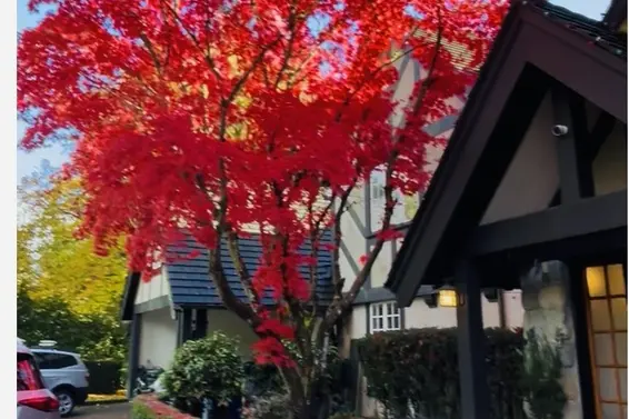 1850 Mathers Avenue, West Vancouver For Sale - image 36