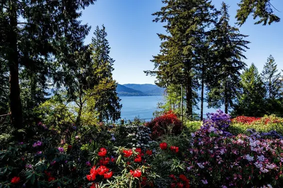 90 Oceanview Road, Lions Bay For Sale - image 2