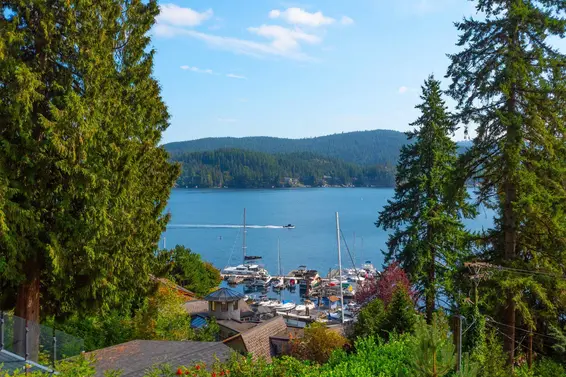 2867 Panorama Drive, North Vancouver For Sale - image 3