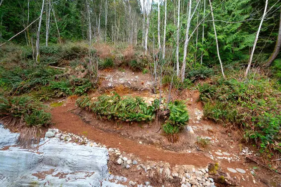 2867 Panorama Drive, North Vancouver For Sale - image 36