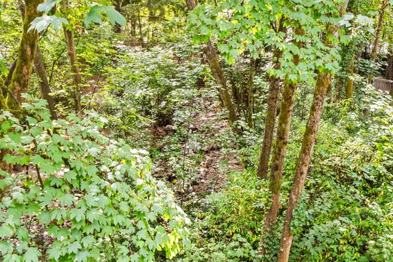 3192 Mountain Highway, North Vancouver For Sale - image 6