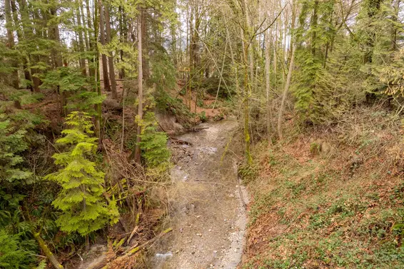 847 Westview Drive, North Vancouver For Sale - image 33