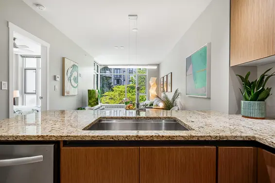 202 135 West 2nd Street, North Vancouver For Sale - image 4