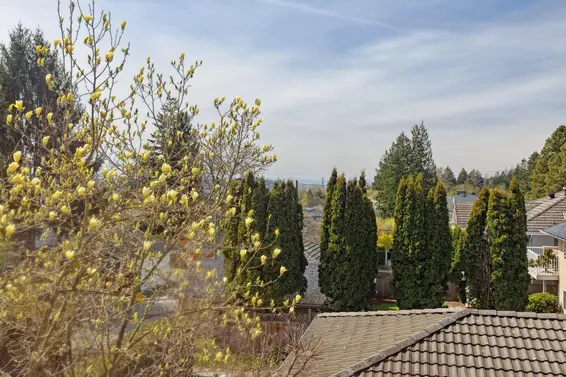 1541 Mahon Avenue, North Vancouver For Sale - image 19
