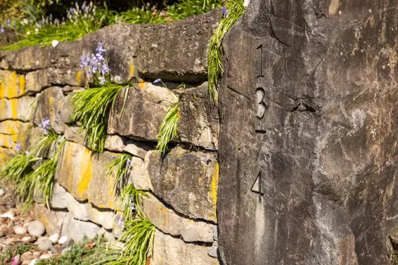 1374 East 15th Street, North Vancouver For Sale - image 2