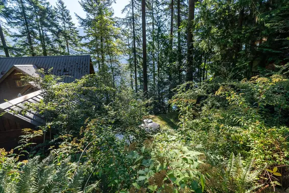 316 Sasamat Lane, North Vancouver For Sale - image 16
