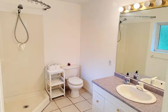 290 West Balmoral Road, North Vancouver For Sale - image 11