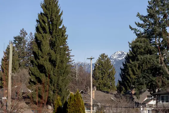 306 625 East 3rd Street, North Vancouver For Sale - image 30