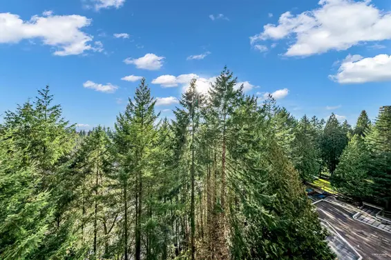 1010 2004 Fullerton Avenue, North Vancouver For Sale - image 23