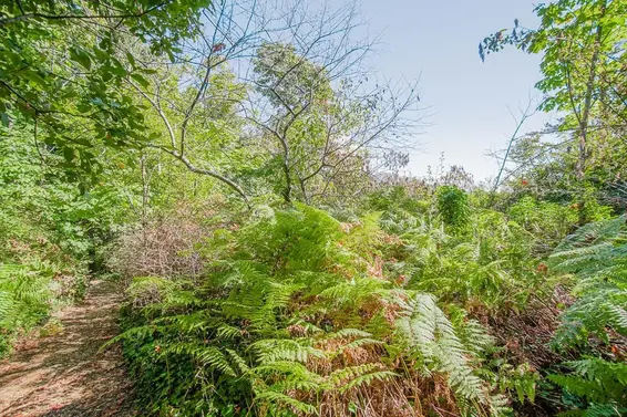 55 Passage Island, West Vancouver For Sale - image 10