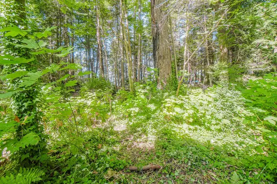 55 Passage Island, West Vancouver For Sale - image 11