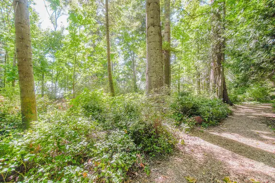 55 Passage Island, West Vancouver For Sale - image 19