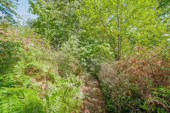 55 Passage Island, West Vancouver For Sale - image 9