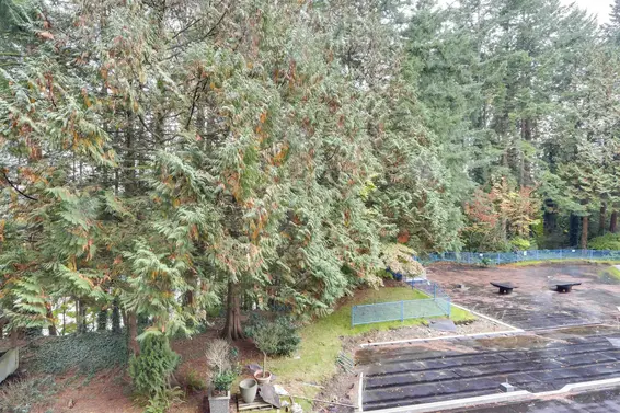 303 2004 Fullerton Avenue, North Vancouver For Sale - image 20