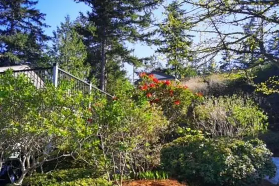 6890 Hycroft Road, West Vancouver For Sale - image 1