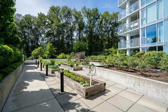 102 1401 Hunter Street, North Vancouver For Sale - image 31