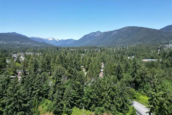 11 2425 Edgemont Boulevard, North Vancouver For Sale - image 38