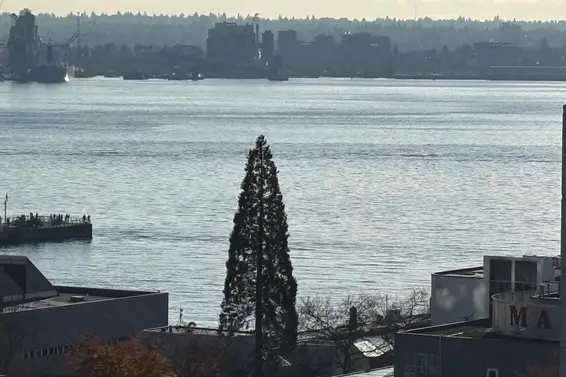 902 175 West 1st Street, North Vancouver For Sale - image 4