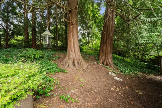 338 East Osborne Road, North Vancouver For Sale - image 15