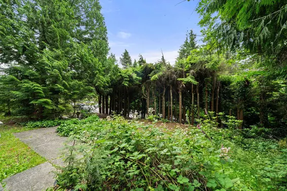 338 East Osborne Road, North Vancouver For Sale - image 16