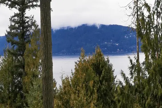 5339 Monte Bre Crescent, West Vancouver For Sale - image 2