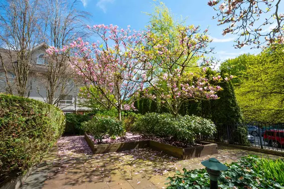 512 150 West 22nd Street, North Vancouver For Sale - image 33